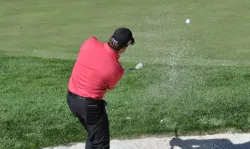 Punters Jump On Woods In Golf Betting