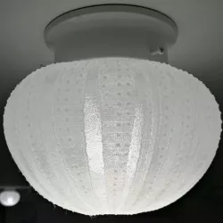 Sea Urchin Light