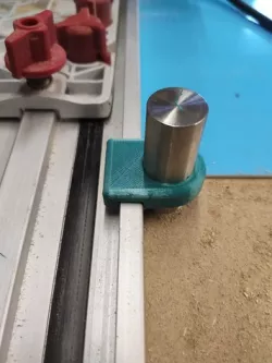 Track saw to bench dog clamp