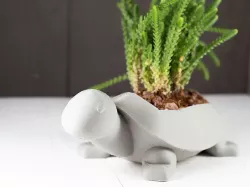 Turtle Planter