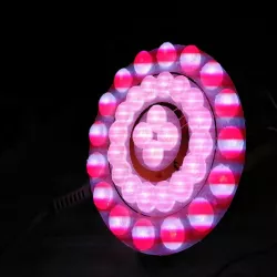 WS2812 Rings with 16 LEDs or 4 LED