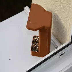Bird feeder