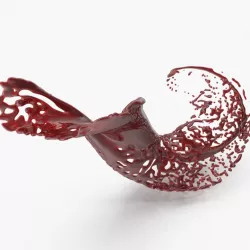 Blood (2) 3d model