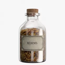 Bottle with Worms 3d model