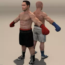 boxer 02 3d model