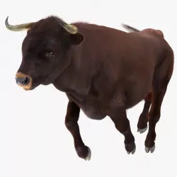 Bull Running Pose with Fur 3d model