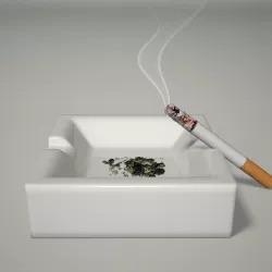 Cigarette 3d model