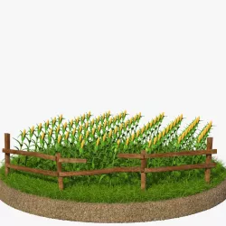 Corn Cartoon 3d model