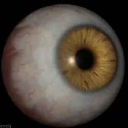 Eye 3d model