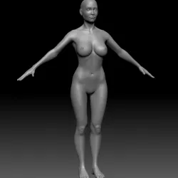 Female Basemesh ZTool 4R8 3d model