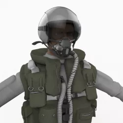 Fighter Pilot 3d model