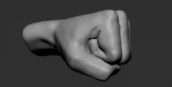 Fist 3d model