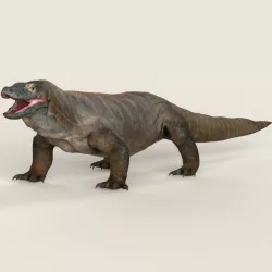 Game Ready Realistic Komodo Dragon 3d model