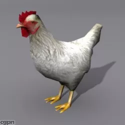 hen 2 3d model