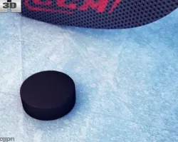 Hockey Stick & Puck 3d model