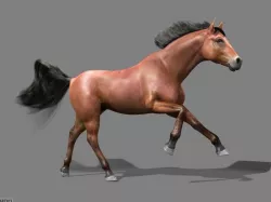 Horse 3d model