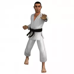 Karate Fighter CG 3d model