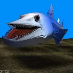 Killer Barracuda 3D 3d model