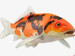 Koi Fish 3d model