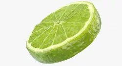 Lime Slice 3d model