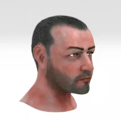 Male Head 3d model