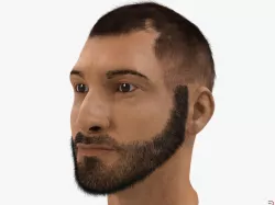 Male Head with Fur 3d model