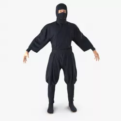 Ninja 3d model