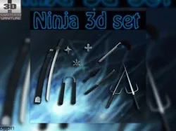 Ninja set 3d model