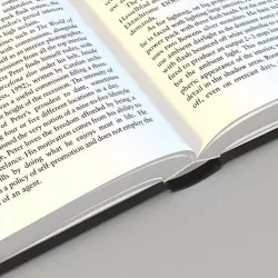Opened Book 3d model