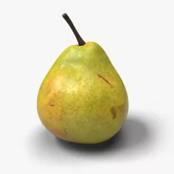 Pear 3d model