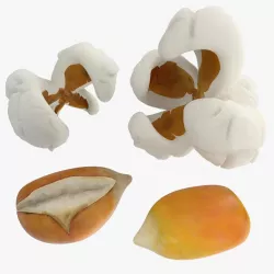 Popcorn Evolution Set 3d model