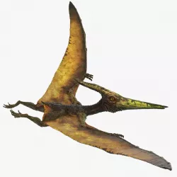 Pteranodon Flying Carnivorous Reptile Flying Pose 3d model