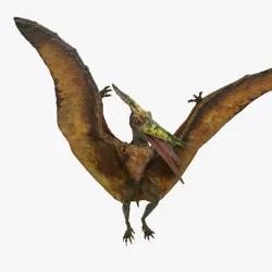 Pteranodon Flying Carnivorous Reptile Landing Pose 3d model