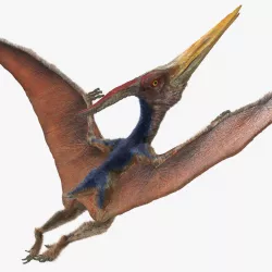 Pteranodon Flying Pose with Fur 3d model