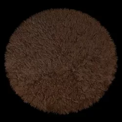 Round rug 3d model