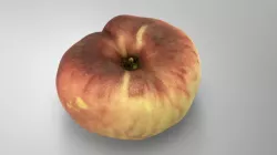 SATURN PEACH 3d model