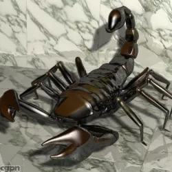Scorpion 3D 3d model