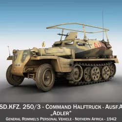 SD.KFZ 250 3 - Adler - Halftrack command variant 3d model