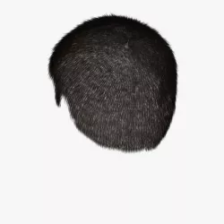 Thomas Hair 3d model