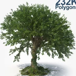 Tree 3d model