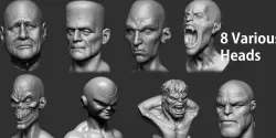 Various Heads 3d model