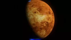Venus 8k 3d model