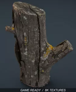 Wood Log 4 3d model