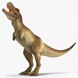 Animated Tyrannosaurus Rex Eating Rigged 3d model