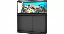 Aquarium 3d model