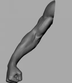 Arm Fist Model 3d model