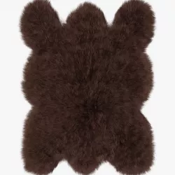 Big brown bear rug 3d model