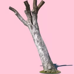 Bob Barker 3d model