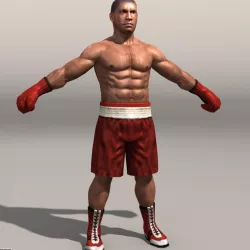 boxer 01 3d model