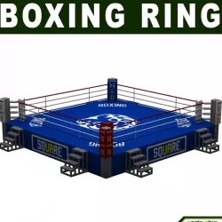 Boxing Ring 3d model